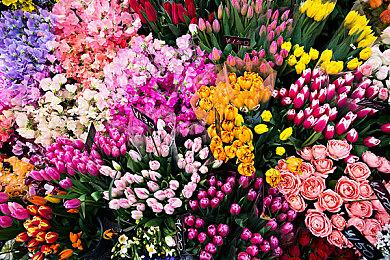 《给他爱5》增强版Steam褒贬不一 画质提升不少